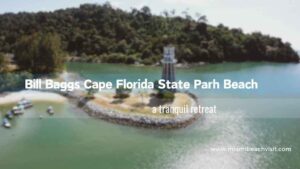 Bill Baggs Cape Florida State Park Beach miami: A Tranquil Retreat